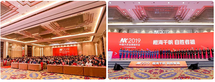 自己勝者、オレンジ海の千帆！ -2019年中国農業マーケティング年次会議が無事に終了しました。おめでとうございます。(图3)
